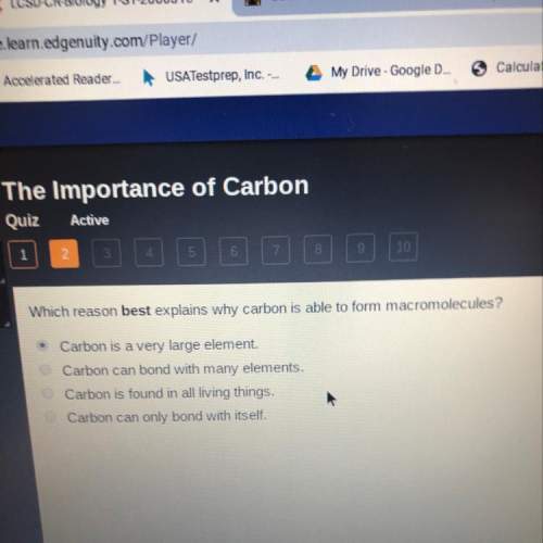 Which reason best explains why carbon is able to form macromolecules