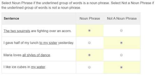 Select noun phrase if the underlined group of words is a noun phrase. select not a noun phrase if th