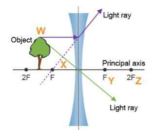 ((pleaassee me)) a ray diagram is shown.which letter represents the locatio