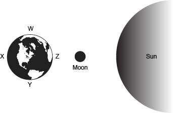 The diagram below shows four coastline locations on earth with respect to the moon and sun at a give