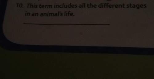 Includes an the stages in an animal's life