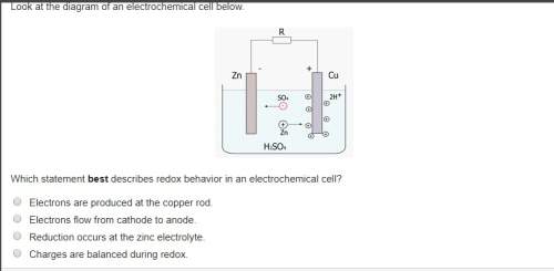 Look at the diagram of an electrochemical cell below.