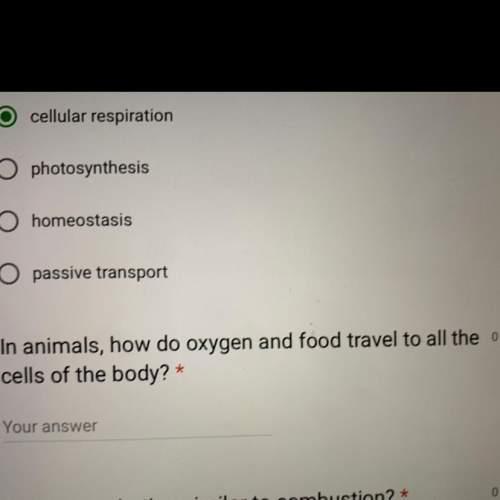 In animals how do oxygen and food travel to all the cells of the body