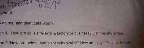 How are cells similar to a factory or business?