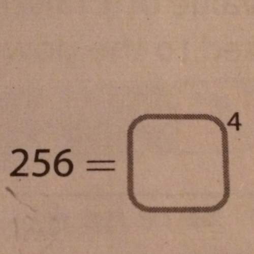 What to the power of four equals 256