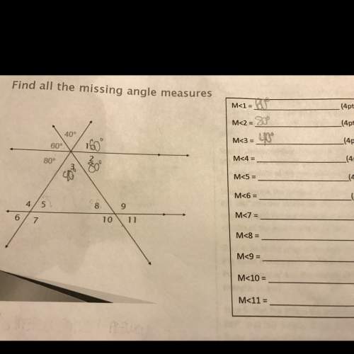 Me find the missing angles! (even if you don't find them all show me how so i can do it !