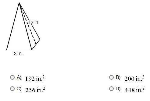 The base of this regular right pyramid is a square.  what is its surface are