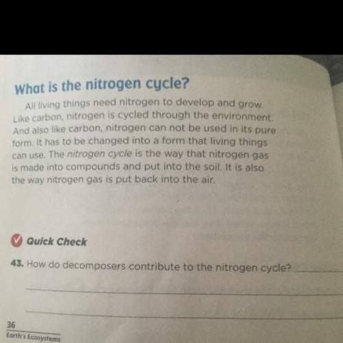 How do decomposes contribute to the nitrogen cycle?