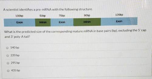 What is the predicted size of the corresponding mature mrna in base pairs (bp), excluding the 5' cap