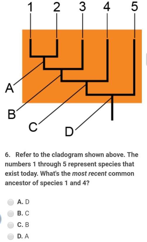 Refer to the cladogram shown above. thenumbers 1 through 5 represent species thatexist t