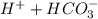H^+ + HCO^-_{3}