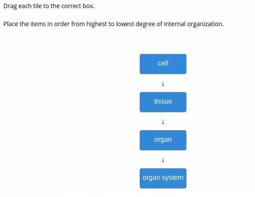 Place the items in order from highest to lowest degree of internal organization.

tissueorgan system