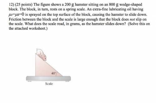 hows a 170 g hamster sitting on an 830 g wedge-shaped block. The block, in turn, rests on a spring s