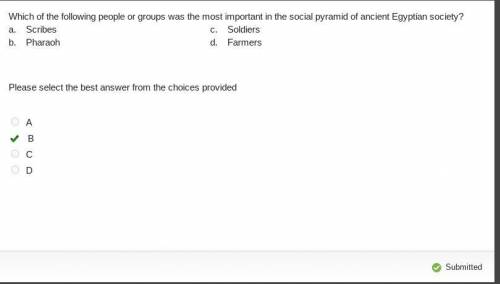 Which of the following people or groups was the most important in the social pyramid of ancient Egyp