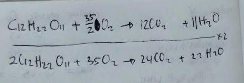 C12H22O11 + 6O2 à (Heat) +  +  +