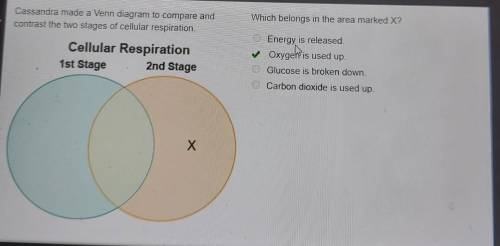 The two stages of cellular respiration.

Which belongs in the area marked X?
Energy is released.
Oxy