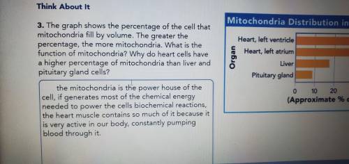 3. The graph shows the percentage of

 the cell that mitochondria fill by volume.
The greater the pe
