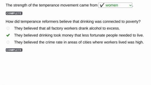 The strength of the temperance movement came from 
.