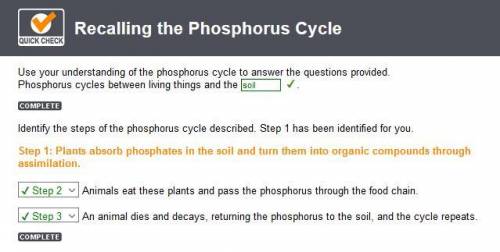 Animals eat these plants and pass the phosphorus through the food chain