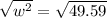 \sqrt{w^2} = \sqrt{49.59}