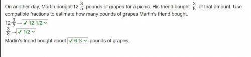 On another day, Martin bought 123

5
pounds of grapes for a picnic. His friend bought 3
8
of that am