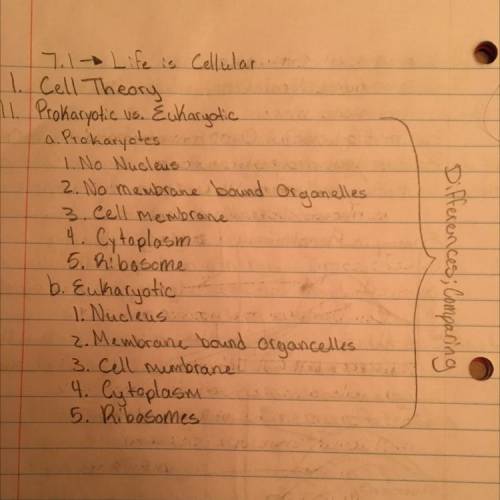I have a quiz tomorrow on these topics:

Prokaryotes vs Eukaryotes
What is a plant?
Stems, Roots, Le