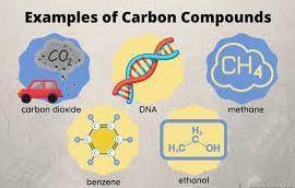 Describe the role of carbon in biological systems