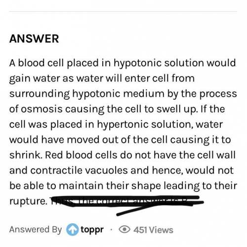 What happens to red blood cells when placed in a hypotonic solution?