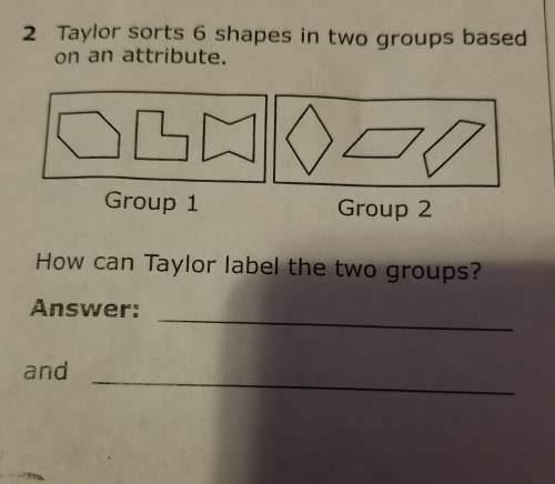 Taylor sorts 6 shapes in two groups based on attributes