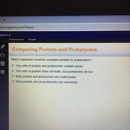 Which statement correctly compares protists to prokaryotes?