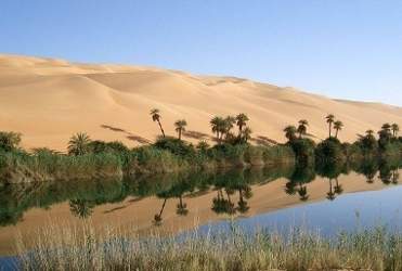 The photo above shows a small, fertile area in a desert with water supplied by an underground spring