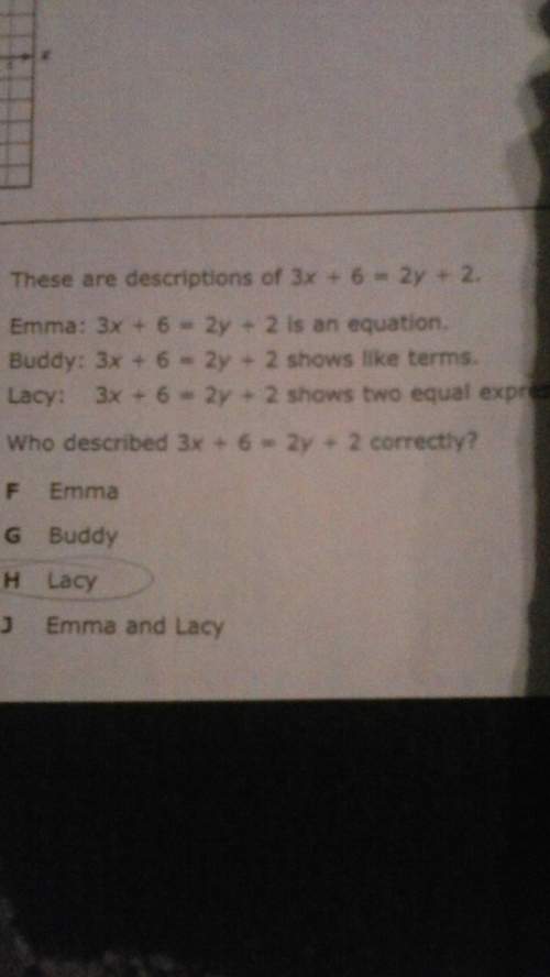 Who described 3x + 6 equals 2y + 2 correctly