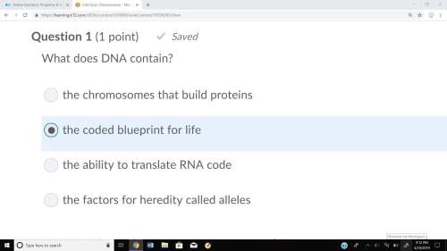 Can someone me with science/biology on dna and is my answer right?
