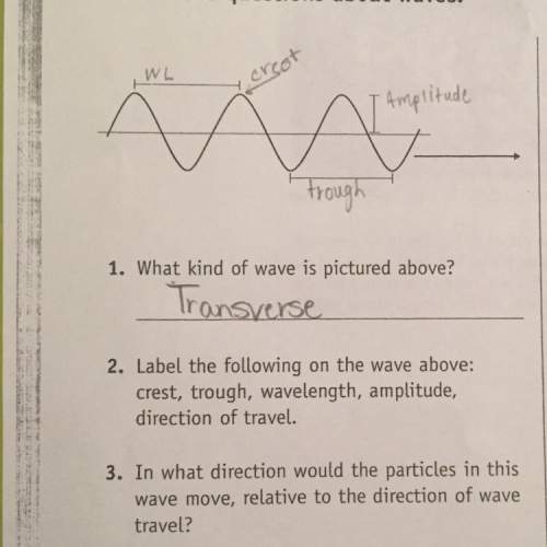 In what direction would the particles in this wave move, relative to the direction of wave travel?