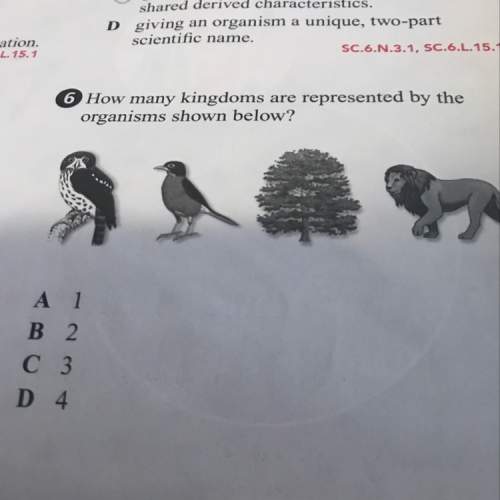 How many kingdoms are represented by the organisms show below.