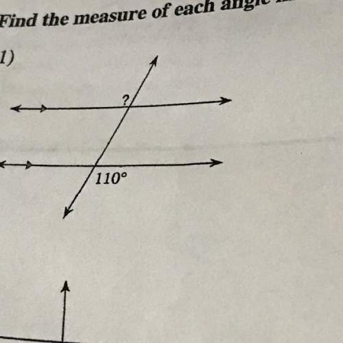 Find the measure of each angle indicated. 110°