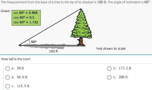 The measurement from the base of a tree to the tip of its shadow is 100ft.