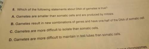 Which of the following statements about dna of gametes is true?