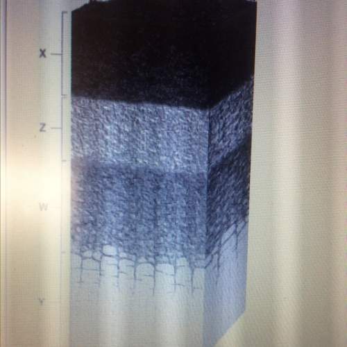 In figure 5-2 what is the layer labeled y composed of