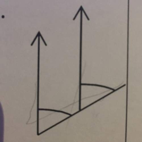 These angles are equal. what are they called?