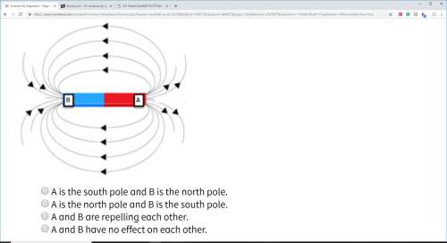 Which of the following is true about the magnetic field diagram shown below