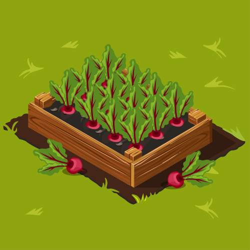 the area of a rectangular raised garden bed for growing beets is given by the expression(3b)(