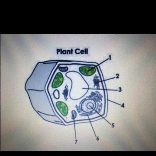 Identify two cell structures involved in modifying and transporting proteins out of the cell. struct