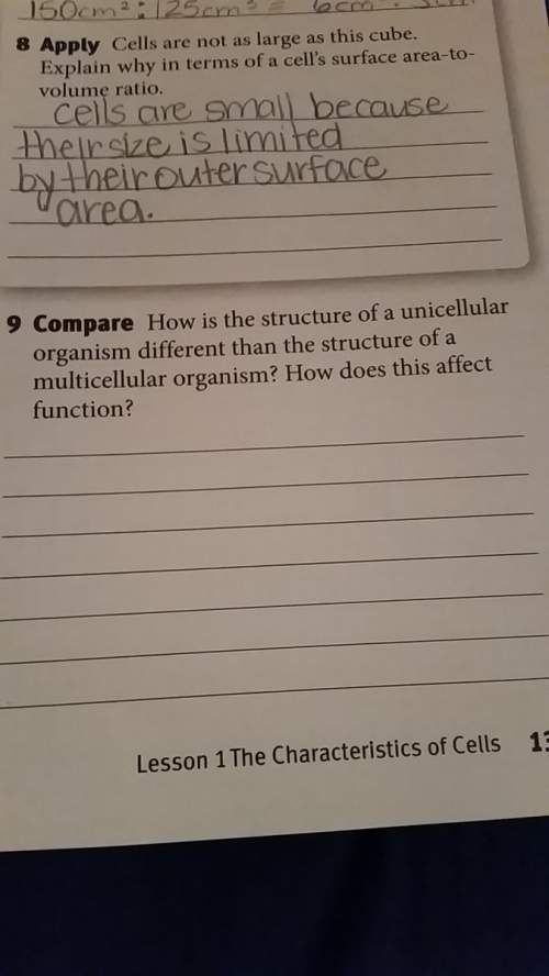 How is the structure of a unicellular organism different than the structure of a multicellular organ