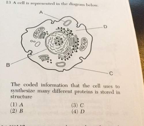 13 a cell is represented in the diagram below.oo,the coded information that the cell uses tosynthesi