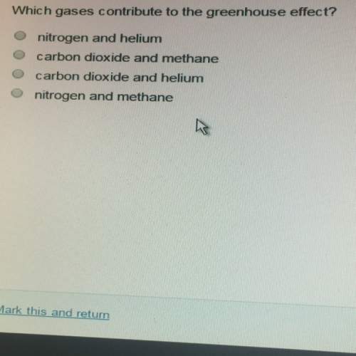 Which gases contribute to the green house effect