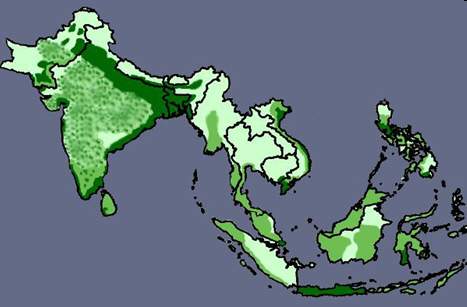 The map above show population density in south and southeast asia. the areas where the green is the