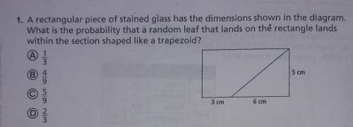 Arectangular piece of stained glass has the dimensions shown in the diagram. what is the probability
