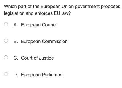 Which part of the european union government proposes legislation and enforces eu law?