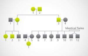 The pedigree chart below shows the individuals in a family who exhibit a certain trait. based on the